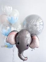 На выписку №12